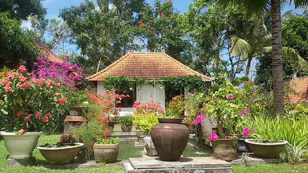 Bukit Asri Lodge Bungalow in East Bali