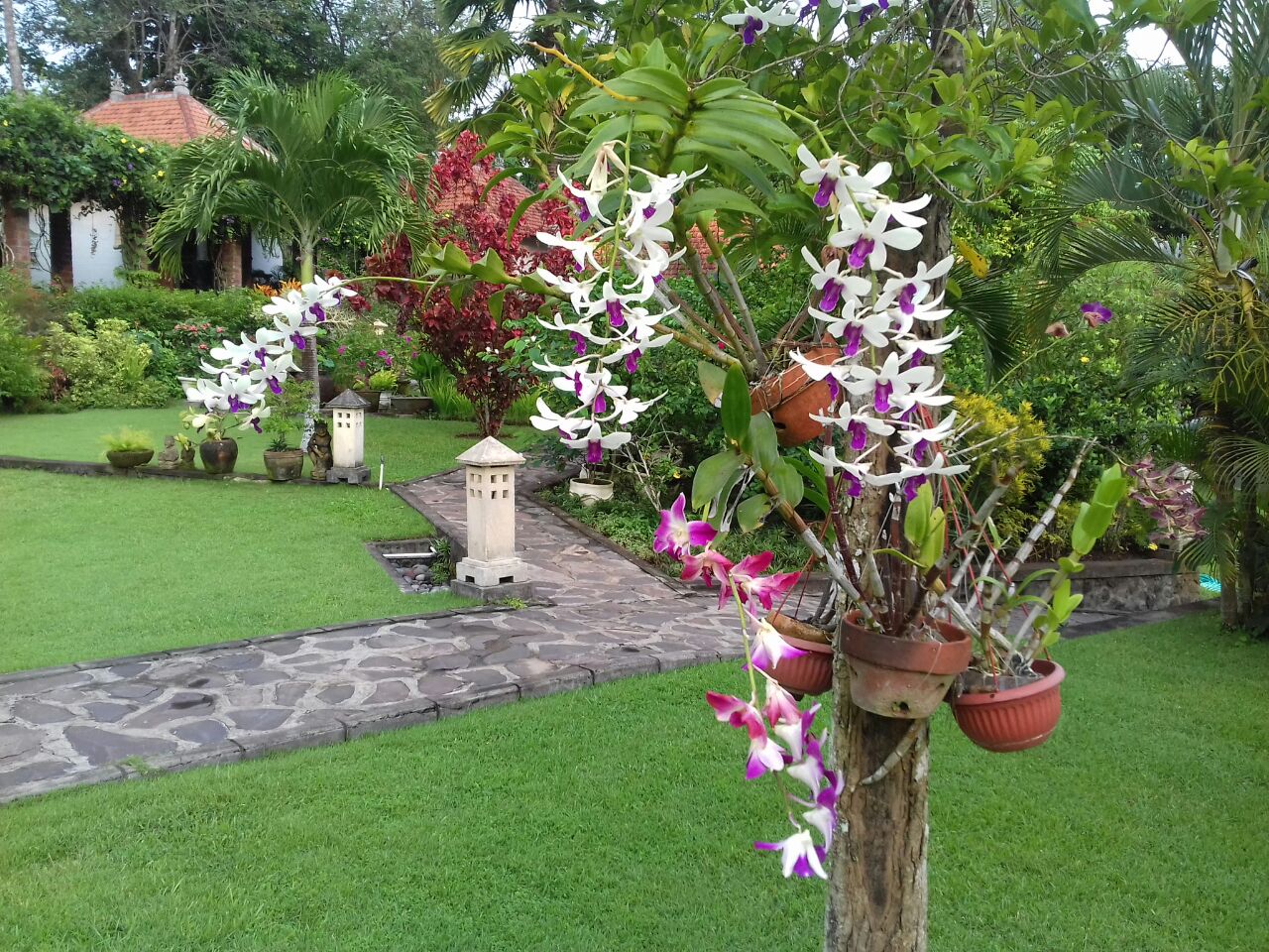 Bukit Asri Lodge villa in Oost Bali